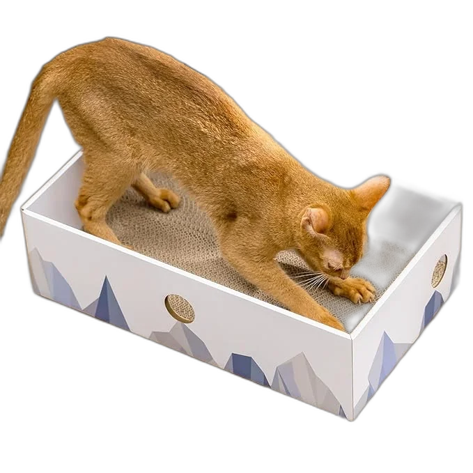 PetFusion Griffoir Carton Design